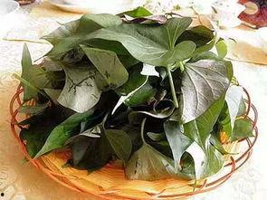 黑料吃瓜网apk普通安装 