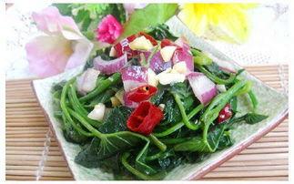 黑料吃瓜网apk普通安装 