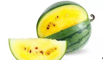 黑料吃瓜网apk普通安装 