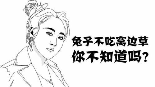 黑料吃瓜网apk普通安装 