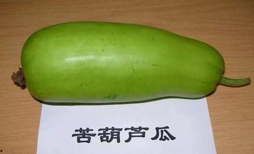 怎么样才能不当社畜:妻子的故事 