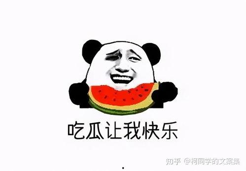 怎么可以吃兔兔 
