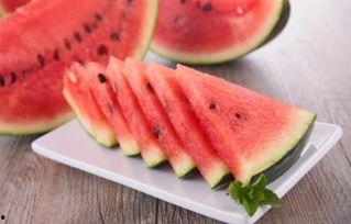 枇杷影视app无广告免费下载安装 