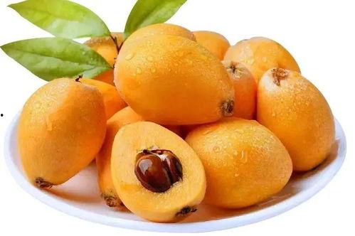 枇杷影视app无广告免费下载安装 