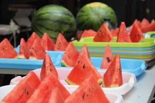 怎么样才能不当社畜:妻子的故事 