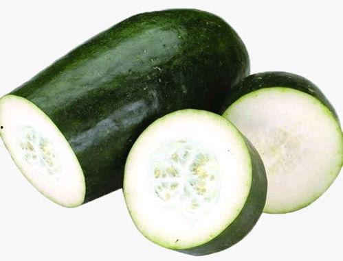 怎么样才能不当社畜:妻子的故事 