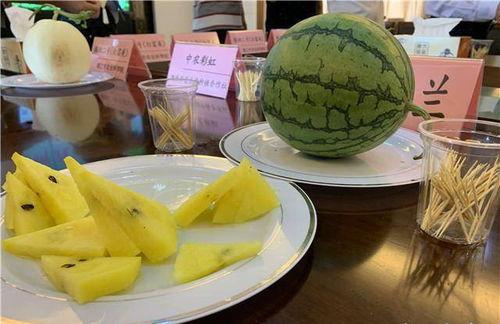 黑料吃瓜网apk普通安装 