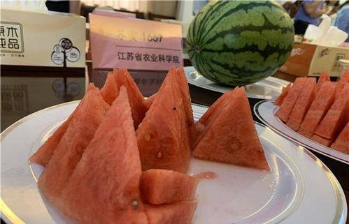 黑料吃瓜网apk普通安装 