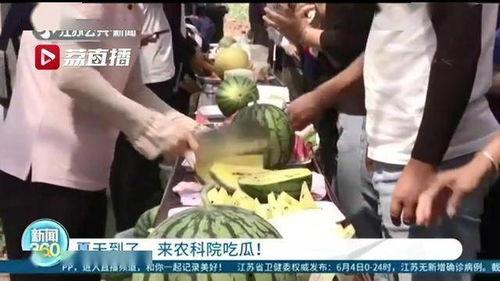 v3手柄软件老版本 