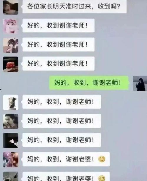 v3手柄软件老版本 
