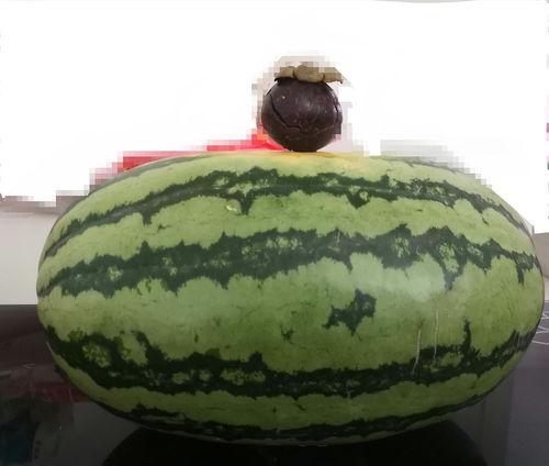 黑料吃瓜网apk普通安装 